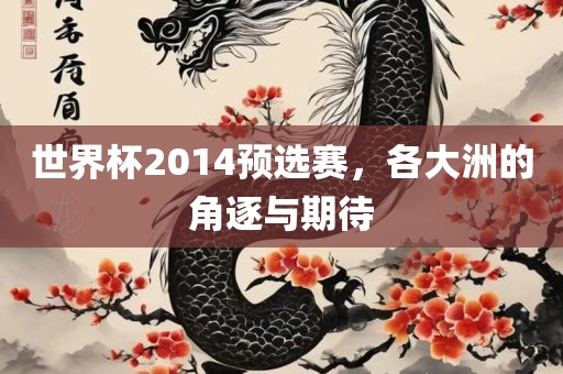 世界杯2014预选赛，各大洲的角逐与期待