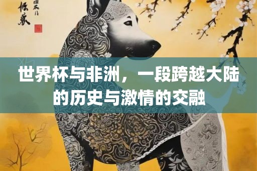 世界杯与非洲，一段跨越大陆的历史与激情的交融