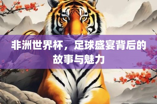 非洲世界杯，足球盛宴背后的故事与魅力