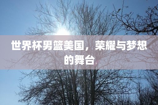世界杯男篮美国，荣耀与梦想的舞台