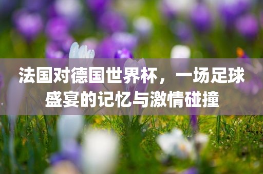 法国对德国世界杯，一场足球盛宴的记忆与激情碰撞