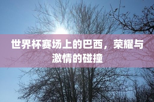 世界杯赛场上的巴西，荣耀与激情的碰撞