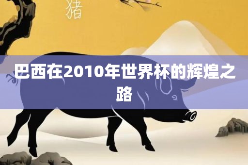 巴西在2010年世界杯的辉煌之路