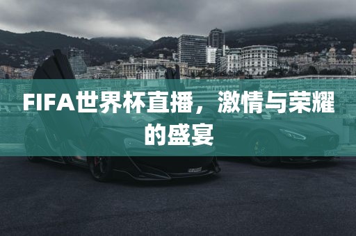 FIFA世界杯直播，激情与荣耀的盛宴