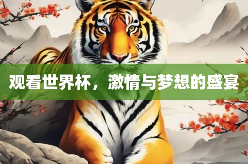 观看世界杯，激情与梦想的盛宴
