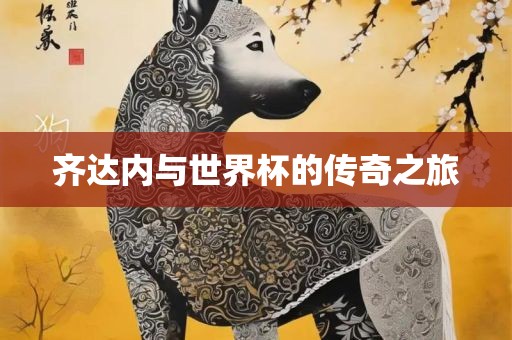 齐达内与世界杯的传奇之旅