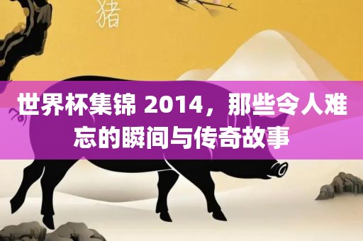 世界杯集锦 2014，那些令人难忘的瞬间与传奇故事