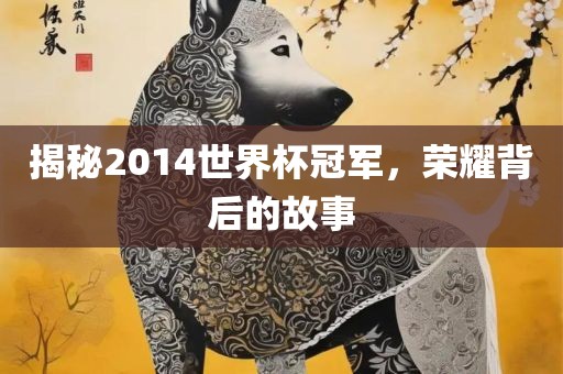 揭秘2014世界杯冠军，荣耀背后的故事