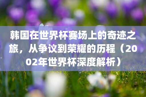 韩国在世界杯赛场上的奇迹之旅，从争议到荣耀的历程（2002年世界杯深度解析）
