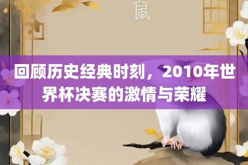 回顾历史经典时刻，2010年世界杯决赛的激情与荣耀