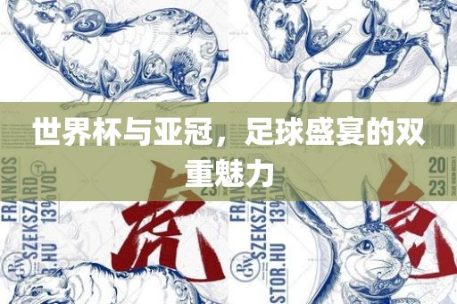 世界杯与亚冠，足球盛宴的双重魅力
