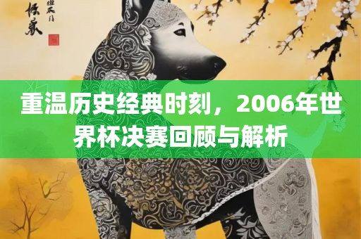 重温历史经典时刻，2006年世界杯决赛回顾与解析