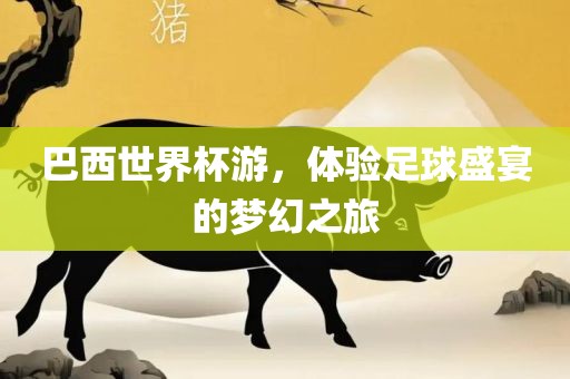 巴西世界杯游，体验足球盛宴的梦幻之旅