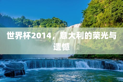 世界杯2014，意大利的荣光与遗憾
