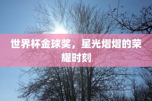 世界杯金球奖，星光熠熠的荣耀时刻