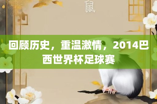回顾历史，重温激情，2014巴西世界杯足球赛