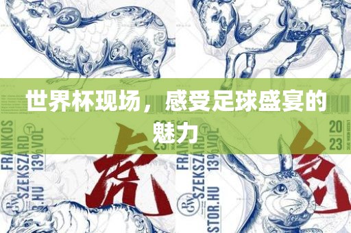 世界杯现场，感受足球盛宴的魅力