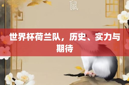 世界杯荷兰队，历史、实力与期待