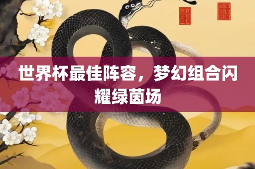 世界杯最佳阵容，梦幻组合闪耀绿茵场