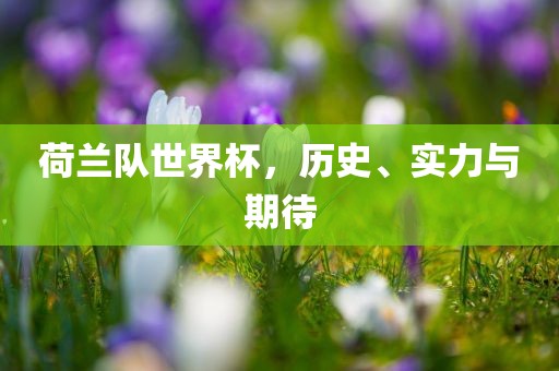 荷兰队世界杯，历史、实力与期待