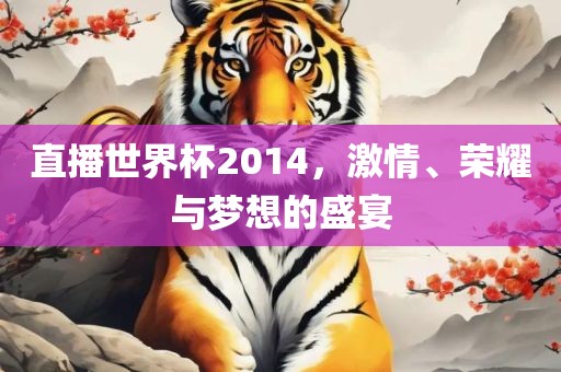 直播世界杯2014，激情、荣耀与梦想的盛宴