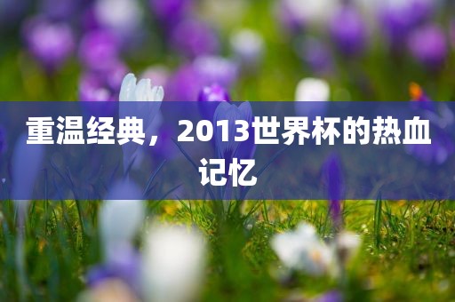 重温经典，2013世界杯的热血记忆