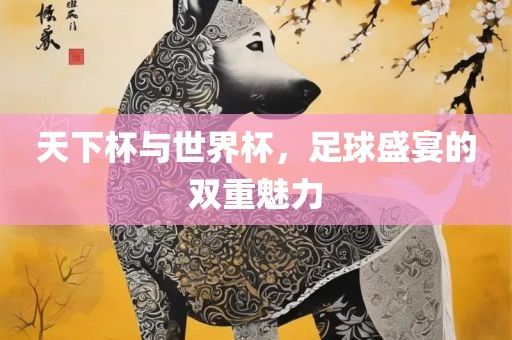 天下杯与世界杯，足球盛宴的双重魅力