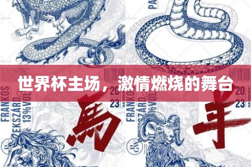 世界杯主场，激情燃烧的舞台