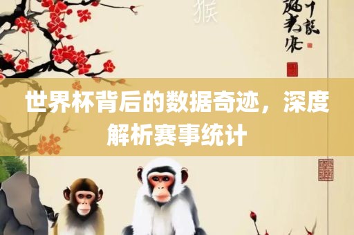 世界杯背后的数据奇迹，深度解析赛事统计