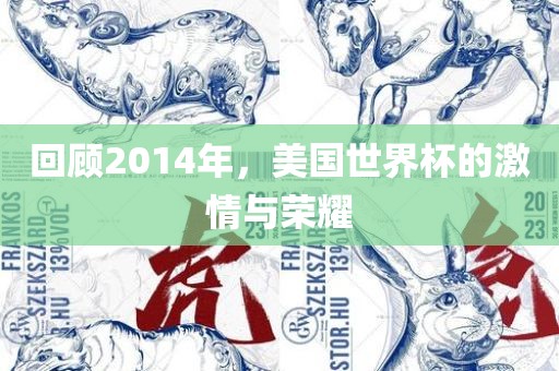 回顾2014年，美国世界杯的激情与荣耀