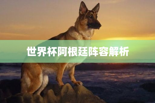 世界杯阿根廷阵容解析