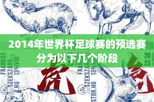 2014年世界杯足球赛的预选赛分为以下几个阶段