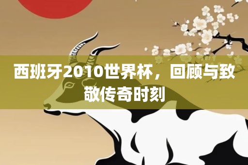 西班牙2010世界杯，回顾与致敬传奇时刻