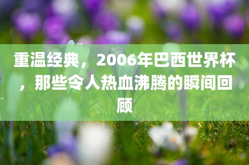 重温经典，2006年巴西世界杯，那些令人热血沸腾的瞬间回顾