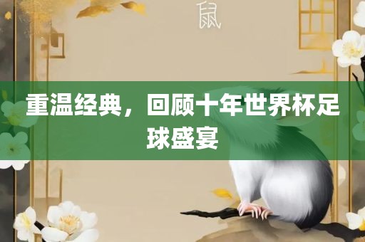 重温经典，回顾十年世界杯足球盛宴