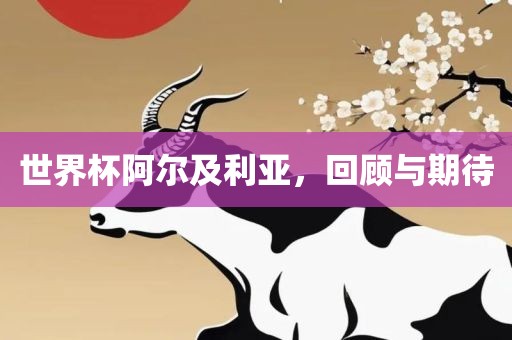 世界杯阿尔及利亚，回顾与期待
