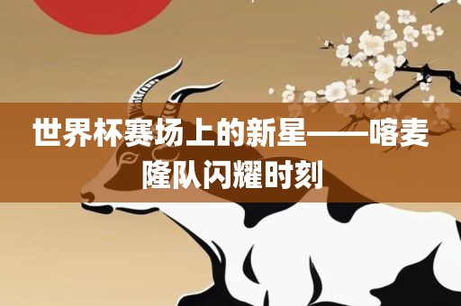 世界杯赛场上的新星——喀麦隆队闪耀时刻
