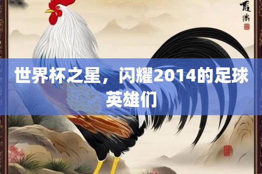 世界杯之星，闪耀2014的足球英雄们