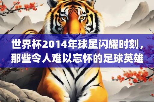 世界杯2014年球星闪耀时刻，那些令人难以忘怀的足球英雄