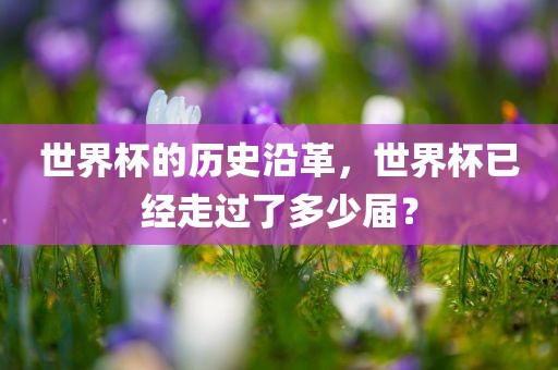 世界杯的历史沿革，世界杯已经走过了多少届？