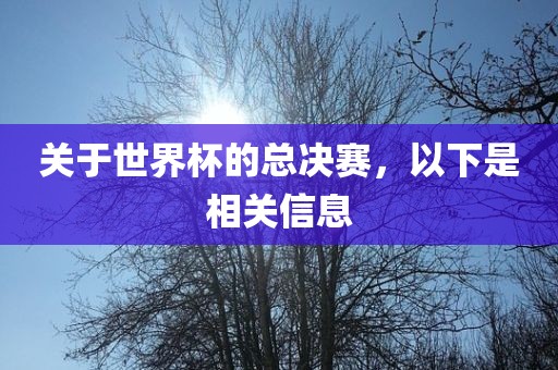 关于世界杯的总决赛，以下是相关信息