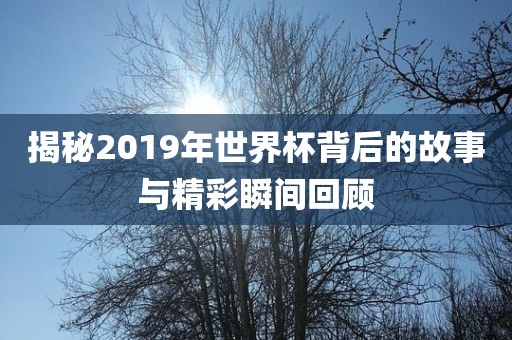 揭秘2019年世界杯背后的故事与精彩瞬间回顾