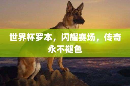 世界杯罗本，闪耀赛场，传奇永不褪色