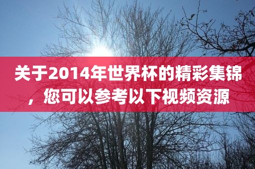 关于2014年世界杯的精彩集锦，您可以参考以下视频资源