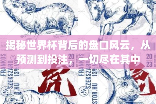 揭秘世界杯背后的盘口风云，从预测到投注，一切尽在其中