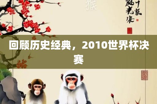 回顾历史经典，2010世界杯决赛