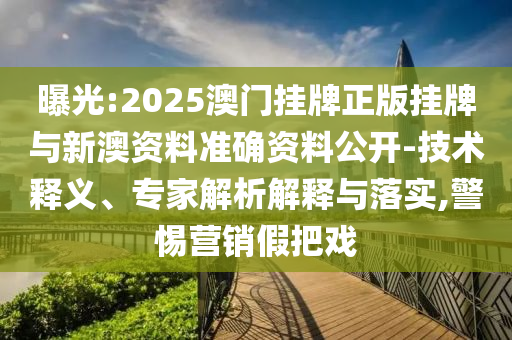 世界杯荷兰队，历史、实力与期待