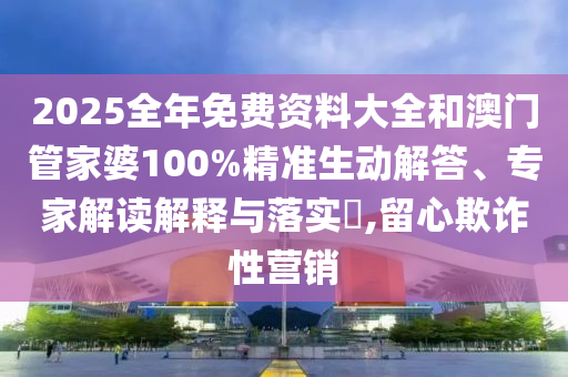 世界杯女足决赛，荣耀之战，全球瞩目
