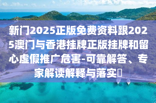 法国女足世界杯，荣耀与激情的盛宴