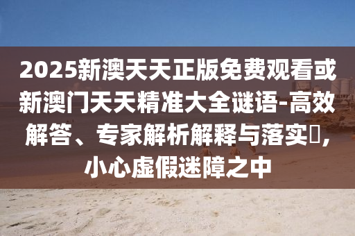 揭秘2006年世界杯冠军之路，荣耀与传奇的诞生